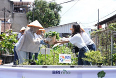 Program CSR BRI Raih Pengakuan Global Lewat Dua Penghargaan Internasional