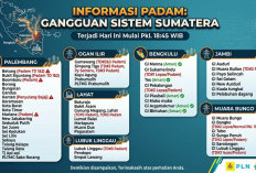 Gangguan Kelistrikan Sebabkan Provinsi Jambi Gelap Total