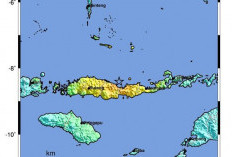 Gempa M7,7 Guncang NTT, Peringatan Dini Tsunami Berakhir