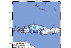 Gempa M4,0 Guncang Manggarai NTT, BMKG Imbau Warga Tetap Waspada