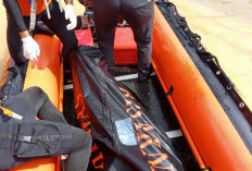 Wanita Terjun dari Jembatan Aurduri I Ditemukan Tim SAR Gabungan Dalam Keadaan Meninggal Dunia