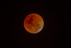 Catat Tanggalnya! Gerhana Bulan Total 3 Maret 2026 Bisa Dinikmati di Seluruh Indonesia 