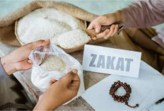 Bolehkah Zakat Fitrah Dibayar dengan Uang? Ini Penjelasan MUI