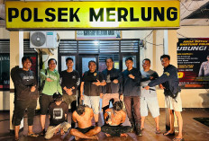 Polsek Merlung Tangkap Tiga Pelaku Pencuri Buah Sawit Di Desa Pulau Pauh