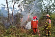 Bakar Sampah Ditinggal, Api Meluas Hanguskan 850 Meter Persegi Lahan di Kota Jambi