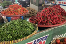 Harga Cabai di Pasar Aurduri Bertahan, Cabai Rawit Dijual Rp60 Ribu per Kilogram