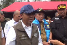 Menhut Tangani Karhutla di Jambi, Jadwalkan Operasi Modifikasi Cuaca dan Tindak Tegas Tiga Perusahaan