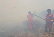 Dana Bantuan Pusat Rp30 Miliar untuk Karhutla Jambi Belum Terserap dan Masih Dibahas di APBD Perubahan