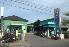 Kasus DBD di Tanjab Barat Capai 153 Kasus hingga September 2026