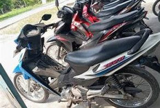 Pasar Motor Bekas Kota Jambi Juli 2026 Lambung Tinggi, Skutik Harga Rp10 Jutaan Jadi Rebutan