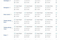 Sebagian Besar Wilayah Jambi Diguyur Hujan Ringan pada 17 Maret 2026