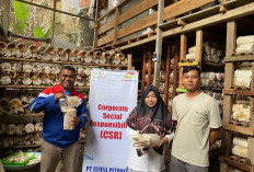 Dari Sumatra Hingga Papua Sepenuh Hati Melayani, Elnusa Petrofin Laksanakan 1.010 Kegiatan CSR Sepanjang 2025