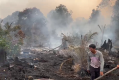 Kebakaran Lahan Hanguskan 2 Hektare di Pematang Lumut Tanjab Barat