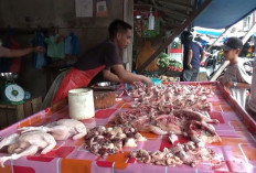 Harga Ayam Potong di Tanjab Barat Naik Jadi Rp42 Ribu per Kilogram