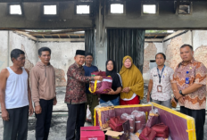 Wabup Merangin Tinjau Bengkel yang Terbakar di Sungai Piul, Salurkan Bantuan kepada Korban 
