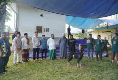 PTPN IV Regional IV Potong 7 Sapi 3 Kambing Kurban