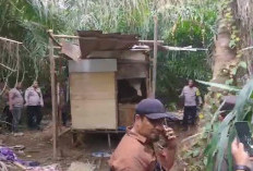 Gubuk Diduga Jadi Tempat Konsumsi Narkoba Digerebek Polisi