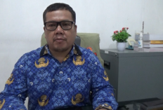 500,25 Hektare Lahan Terbakar di Tanjab Barat hingga Pertengahan September 2026