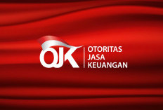 Ojk Terbitkan Aturan Tentang Kantor Perwakilan Lembaga Pembiayaan Asing Di Indonesia