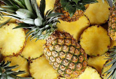 Manfaat Buah Nanas yang Banyak Diburu Saat Menjelang Lebaran