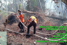 BPBD Catat 109 Hektare Lahan Terbakar di Tanjung Jabung Barat hingga Agustus 2026