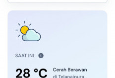 Prakiraan Cuaca Jambi Hari Ini, Kamis 16 Juli 2026: Cerah Berawan, Waspadai Hujan Ringan Sore hingga Malam