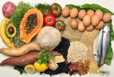 10 Makanan Sehat untuk Diet, Bantu Kenyang Lebih Lama dan Turunkan Berat Badan