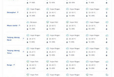 Hujan Ringan Dominasi Cuaca Jambi, Waspada Petir di Sejumlah Wilayah pada 14 April