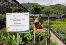 Perkuat Ekonomi Kerakyatan Berbasis Komunitas, BRI Berdayakan Lebih dari 42 Ribu Klaster Usaha