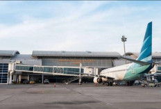 Jadwal Lengkap Penerbangan Bandara Sultan Thaha Jambi, Kamis 7 Mei 2026