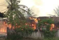 Kebakaran Hanguskan Empat Rumah, Eks SDLB dan Kantor Pramuka di Kuala Tungkal
