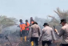 Satgas Karhutla Jambi Catat 144 Hotspot, 4.267 Hektare Lahan Terbakar