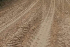 PTPN IV Perbaiki Jalan Desa 12 Kilometer di Muaro Jambi, Permudah Akses 1.750 KK