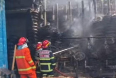 Kebakaran Lahan di Area Lapangan Tembak Kota Jambi Berhasil Dipadamkan  