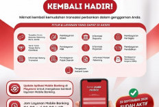 Mobile Banking Bank Jambi Kembali Aktif, Nasabah Diminta Update Aplikasi