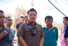 Bantuan Terus Mengalir, Pramuka Tanjab Timur Galang Donasi Rp152 Juta untuk Korban Kebakaran 