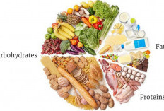 Tips Hidup Sehat yang Mudah Diterapkan dalam Kehidupan Sehari-hari