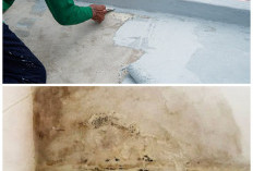 Anti Ribet! 5 Tips Ampuh Mengatasi Tembok Rembes Air Tanpa Renovasi Besar