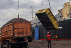 Kemendag Pangkas Harga Referensi CPO Agustus Akibat Minimnya Permintaan Pasar