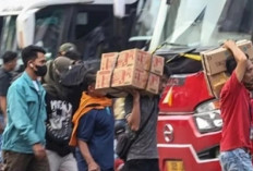Sudah Siap Untuk Mudik? Simak Rincian Diskon Tiket dan Jadwal Program Mudik Gratis Kemenhub 2026