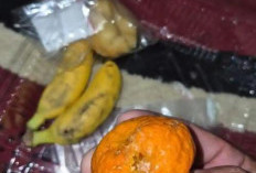 Program MBG di Jambi Disorot, Siswa di Kerinci Diduga Terima Jeruk Busuk dan Donat Keras