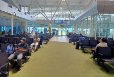 Jadwal Penerbangan Bandara Sultan Thaha Jambi Rabu 12 Agustus 2026
