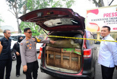 Grebek Kasus Minyak Ilegal, Polda Jambi Amankan 22.800 Liter BBM dan Delapan Tersangka