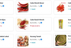 Harga Bahan Pokok di Kota Jambi Relatif Stabil per 26 Januari 2026, Cabai Rawit Alami Kenaikan