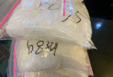 Gagalkan Peredaran Narkoba, Polresta Jambi Amankan Pelaku Pembawa 602 Gram Sabu