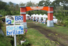 Jangkau 5.245 Desa BRILiaN, BRI Perluas Dukungan bagi Pengembangan Ekonomi Desa