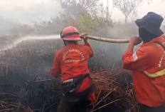 Kebakaran Hutan Gambut di TNBS Meluas, Petugas Berjibaku Padamkan Api