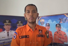 Karhutla di Muaro Jambi Capai 573,66 Hektare, Lahan Gambut Paling Banyak Terdampak