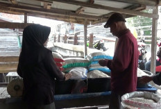DKP Tanjab Barat Siapkan 24 Ton Cadangan Beras untuk Penanganan Bencana  