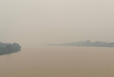 Kabut Asap Melanda, Kasus ISPA di Jambi Capai 7.824 Kasus